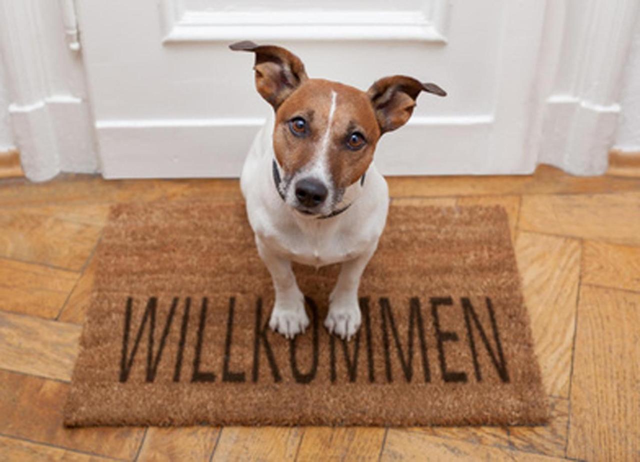 Wohnung Sanke Seeblick Ostseebad Heringsdorf Exterior foto